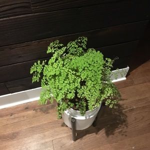 Meet your Posher, Tucker